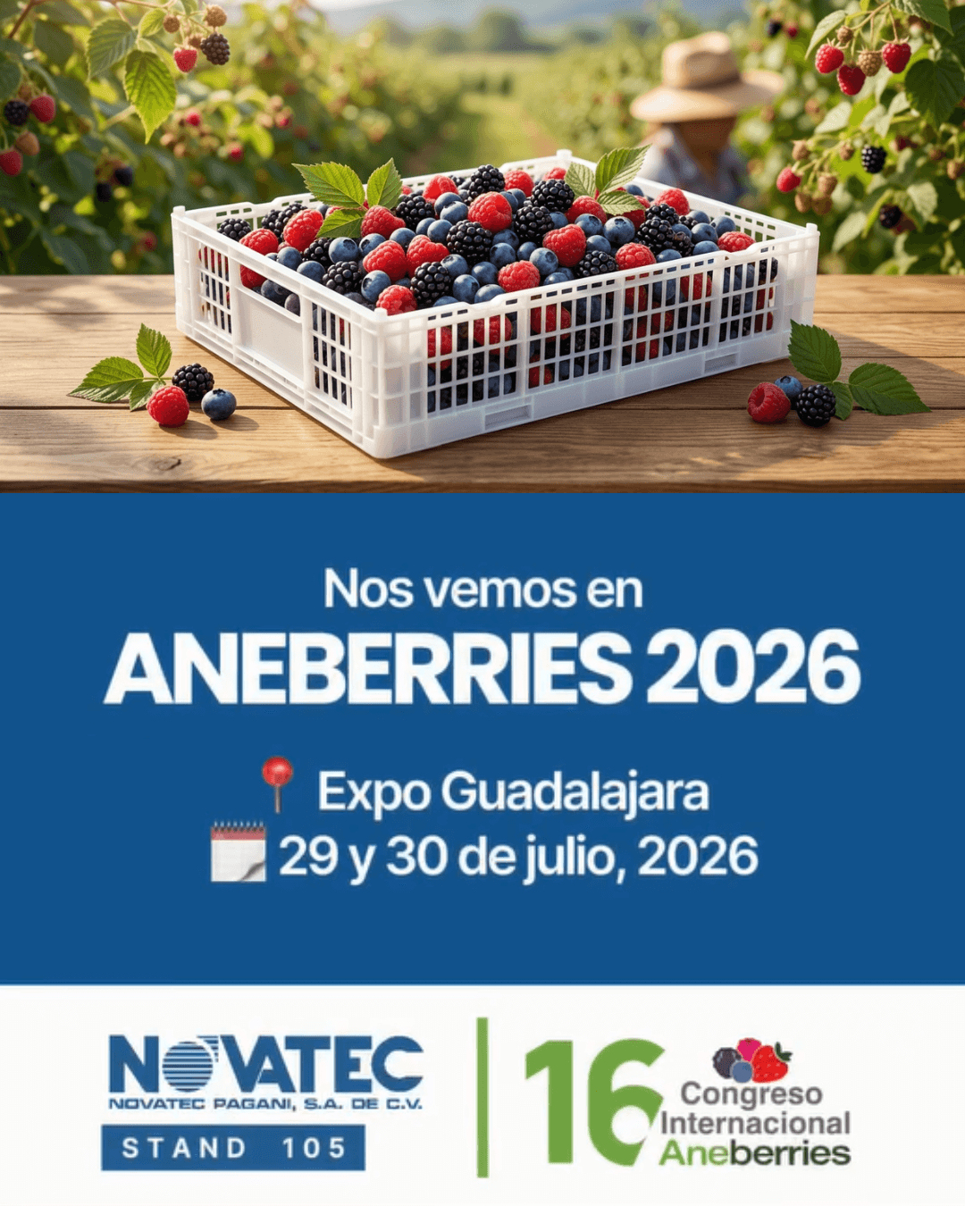 Novatec-Aneberries-2026
